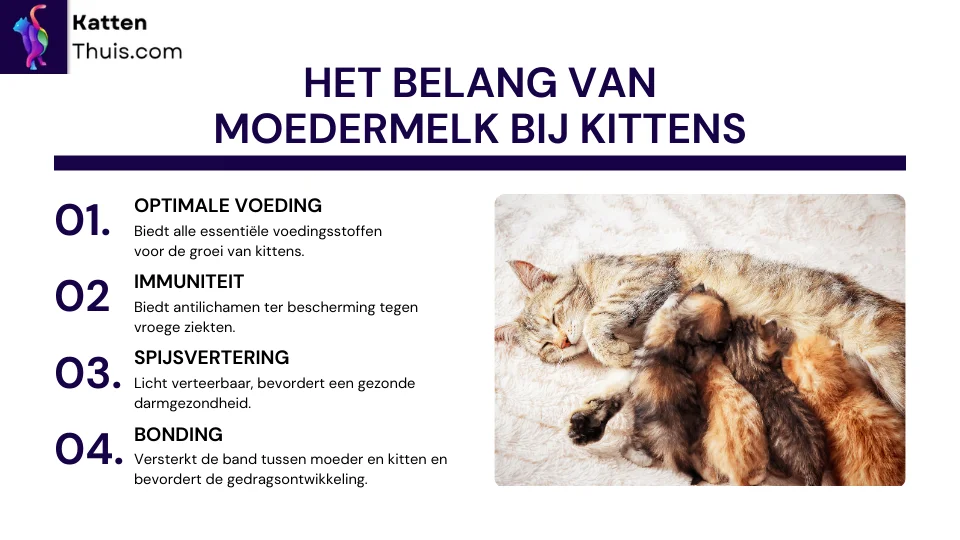 moedermelk voor kittens