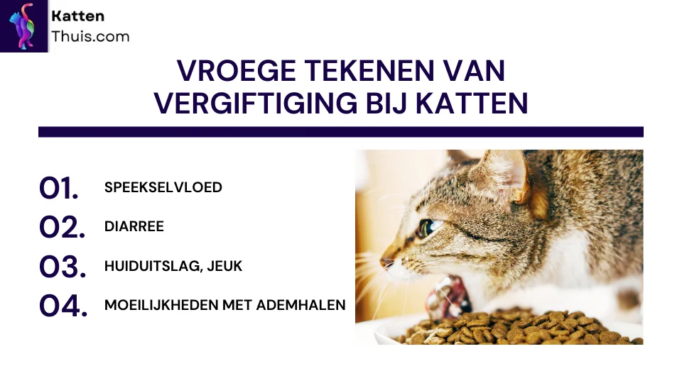 vergiftiging bij katten