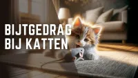 Speelse jonge kitten bijt in een speelgoedmuis