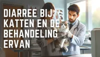 Bezorgde katteneigenaar bij dierenarts met kat op onderzoekstafel in moderne kliniek.