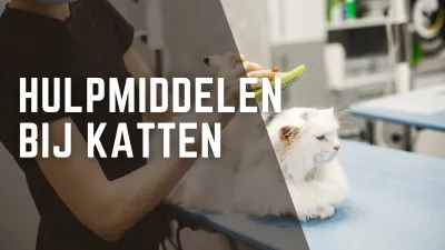 Hulpmiddelen  bij katten