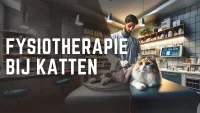 Dierenarts past elektrotherapie toe op kat in de dierenkliniek.