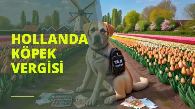 Hollanda köpek vergisi