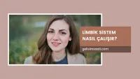 Limbik Sistem Nasıl Çalışır?