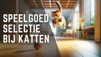 Volwassen kat springt naar een kleurrijke rinkelende bal in een gezellige woonkamer.