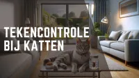 een grijze kat met een teek ervoor en zittend in de woonkamer