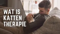 kattentherapie